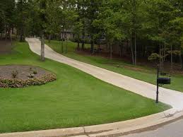 Zoysia grass plugs survive further north than any other warm season grass plug. Empire Zoysia Nimmer Turf Farm