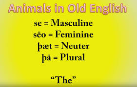 Reading Mrs Steven S Classroom Blog