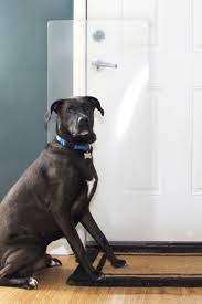 33 mother s day gifts for the pet mom in your life dog door big dogs dog scratching door