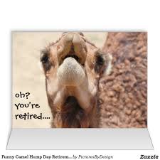 Camels are purely herbivores that usually graze throughout the day since. Pin On Stuff Sold On Zazzle