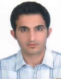 Improving Persian Named Entity Recognition Through Multi Task Learning