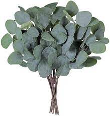 Send indoor & potted plants today. Buy Supla 10 Pcs Fake Eucalyptus Leaves Stems Bulk Artificial Silver Dollar Eucalyptus Leaves Plant In Grey Green 11 8 Tall Wedding Greenery Artificial Greenery Holiday Greens Floral Arrangement Online In Vietnam B07r5ss27p