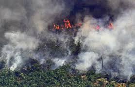 Vários incêndios florestais ainda estão ativos nos balcãs. Numero De Incendios Florestais No Mundo Em 2019 E Um Recorde Natureza G1