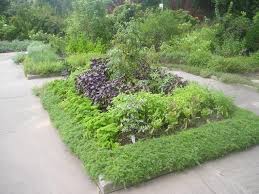 Hopefully you loved learning about growing herbs outdoors in our post outdoor herb garden ideas'! Edible Landscape Design Hgtv