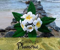 Posted on april 13, 2016october 10, 2016by dsadmin. Ravelry Frangipani Plumeria Flower Pattern By Leticia Lebron
