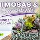Mimosas & Succulents