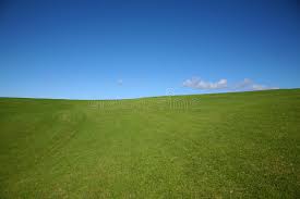 As australia's one of the most trusted afterpay stores, we're carrying a broad range of home & garden products such as garden tools, garden lights, garden beds, garden furniture, greenhouses, hammocks, swimming pools a whole lot more. Windows Xp Photos Free Royalty Free Stock Photos From Dreamstime