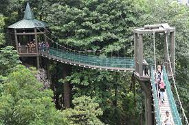 Taman eko rimba kuala lumpur must visit if you 39 re in kl. Taman Eko Rimba Kuala Lumpur Jabatan Perhutanan Semenanjung Malaysia