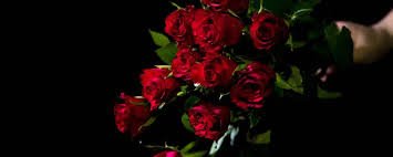 Check spelling or type a new query. Lasting Impression Florists Review