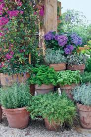 Gestaltungsideen Mit Krautern Garten Topfgarten Garten Anpflanzen