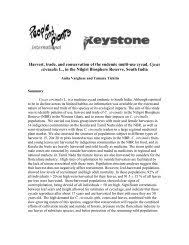 Image result for Agelanthus toroensis