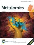 Image result for Haumaniastrum coriaceum