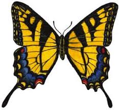 Download and print free eastern tiger swallowtail coloring pages to keep little hands occupied at home; Butterfly Eastern Tiger Swallowtail