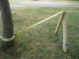 Slackline Stand Slackline Yard Project Upcoming Vacation