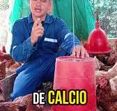 🤔¿Qué alimento dar a las gallinas ponedoras?🐔 ¡Aprende con nosotros!  #ponedoras #gallinasponedoras #campo #gallinaspro