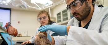 The University of North Carolina at Pembroke