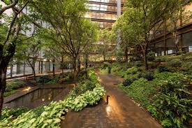 Raymond Jungles Reshapes The Garden At The Ford Foundation Overhaul In 2020 Atrium Garden Ford Foundation Hardscape