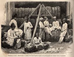 Bombay cotton market. Engraving ...