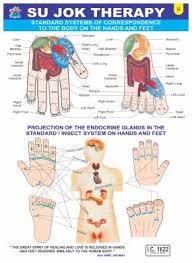 Sujok Acupressure Points Chart Acupressure Point Chart For