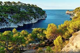 Les Calanques Calanque De Port Pin Calanque Photos Paysage Paysage