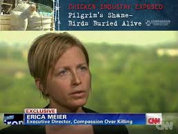 erica meier Archives