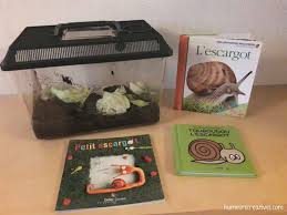 Les Escargots Activites Pour Enfants Escargot Maternelle Escargot Comptine Escargot