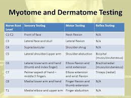 Myotome Testing Sada Margarethaydon Com