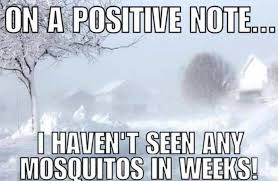 12 Downright Funny Memes You Ll Only Get If You Re From Wyoming Weather Quotes Weather Memes Cold Weather Quotes