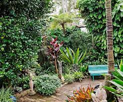 Tropical Gardening By The Beach In 2020 Tropical Garden Design Garden Design Tropical Garden