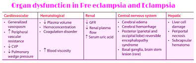 Pin On Learn Medicine