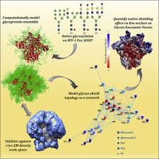 Jjsploit is the best exploit that available for roblox where you can run your favorite scrips. Quantification Of The Resilience And Vulnerability Of Hiv 1 Native Glycan Shield At Atomistic Detail Sciencedirect