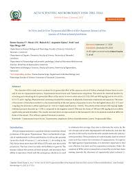 Image result for Ochna schweinfurthiana