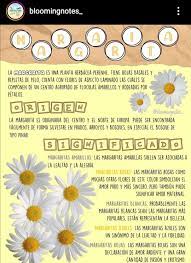 Pin On Trabajos Con Leetering