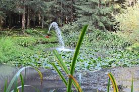 Man gräbt ein loch, dichtet den untergrund ab, füllt wasser hinein und setzt ein paar pflanzen dazu. Starzach Feuchtbiotop Vorerst Gerettet Rottenburg Umgebung Schwarzwalder Bote