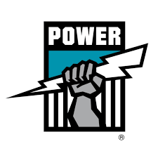 The port of adelaide is also known as. Afl Port Adelaide Power Women S Team Ring With Team Colour Diamonesk Simulated Gems