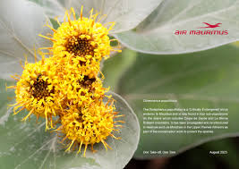 Image result for Distephanus