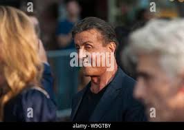 Los Angeles, CA. 13 Aug, 2019. Indiana Massara besucht die Los Angeles  Premiere von '47 Meter nach unten: Uncaged" im Regal Dorf Theater am 13.  August 2019 in Los Angeles CA. Credit: