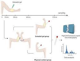 Image result for Transdermal Estrogen