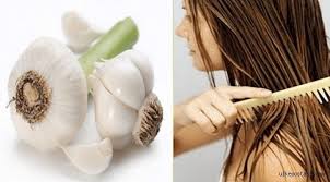 Sarimsagin Sac Sagligindaki Onemi 2020 Sac Sac Dokulme Tedavileri Dogal Sac Bakimi