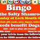 Monday Evening Bingo @ the Salty Shamrock for Dogs... event in Apollo Beach, FL