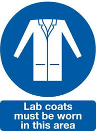 We did not find results for: 15 Lab Safety Ideas Lab Safety Safety Lab
