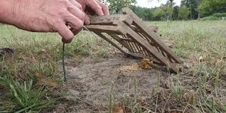 Yolaine de courson — aus wikipedia, der freien enzyklopädie. Chasses Traditionnelles 62 Parlementaires Reclament La Fin De Pratiques Archaiques