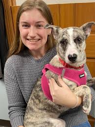 Bella wants to wish her brothers and sisters a Happy Thanksgiving!🦃