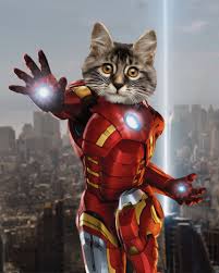 Custom Superhero Giftpersonalized Marvel Pet Portraitpet Etsy Pet Portraits Iron Man Gift Captain America Art