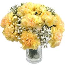 Buy and send carnations flowers online from igp with free delivery in india. Yellow Carnations Fresh Flowers Free Uk Delivery