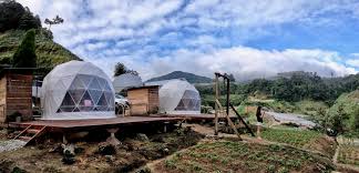 Highland camp curug panjang yang berada dalam kawasan hutan homogen, serta dikelilingi tiga (3) aliran sungai hulu ciliwung, menyajikan beragam destinasi dan atraksi untuk kegiatan camping perusahaan, lembaga pendidikan, camping. This Cosy Airbnb Overlooking A Cameron Highlands Tea Plantation Is The Perfect Getaway