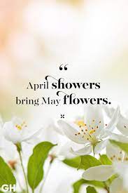 Get In The Springtime Spirit With These Uplifting Quotes Spring Quotes Flower Quotes Uplifting Quotes