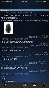 画像あり このリュック気に入ってたのに知り合いにゴキブリみたいって言われて泣きそう ネギ速 ゴキブリ フンコロガシ ミステリーランチ