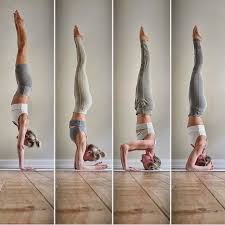 What Inversion Are You Working On From Left To Right Handstand Forearmstand Tripod Heads Happy International Yoga Day Headstand Yoga International Yoga Day