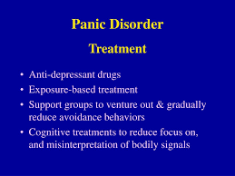 Image result for Panic Disorder Management